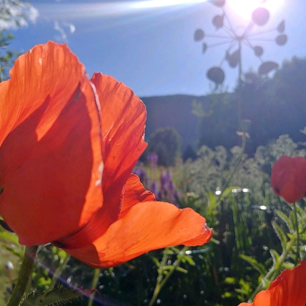 Meet your Posher, Kaitlin